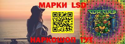 бошки Будённовск