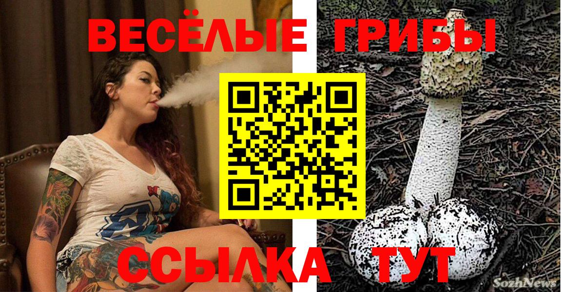 Галлюциногенные грибы Psilocybine cubensis  Вход с VPN  где можно купить наркотик  Заринск 
